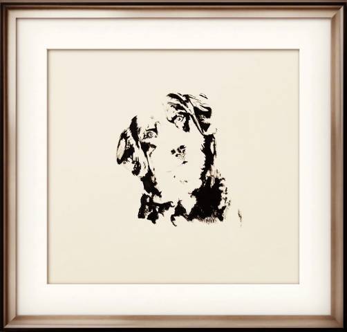 Tableaux de chevaux, poneys, ânes , chien 