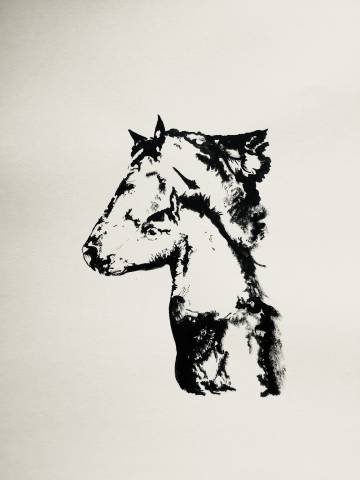 Tableaux de chevaux, poneys, ânes , chien 