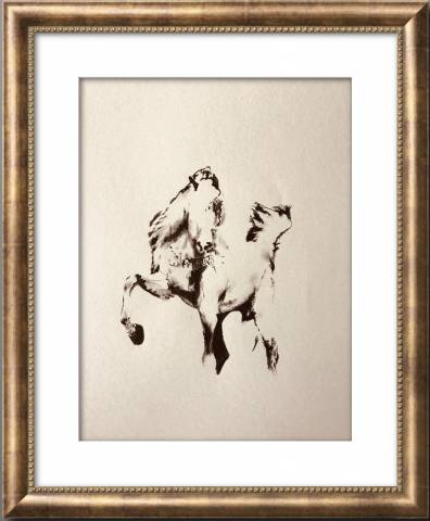 Tableaux de chevaux, poneys, ânes , chien 