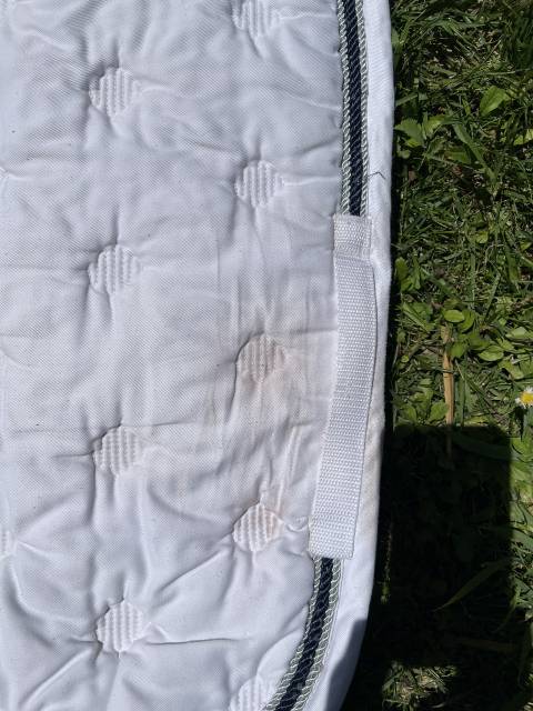 Tapis  concours blanc 