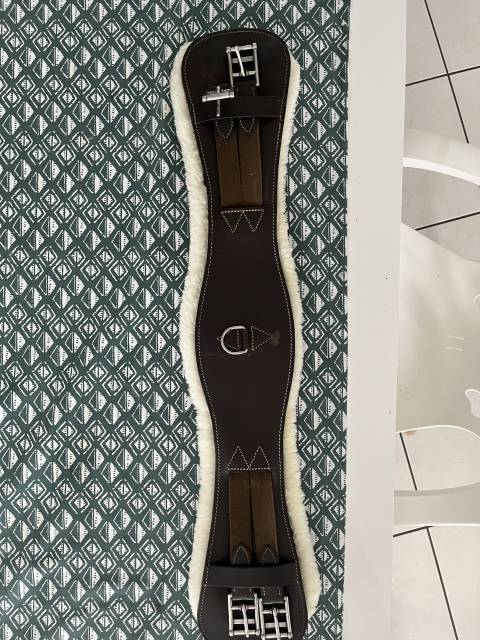 Sangle de dressage courte 