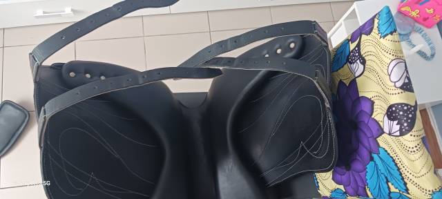 Selle de dressage Antarès 2021