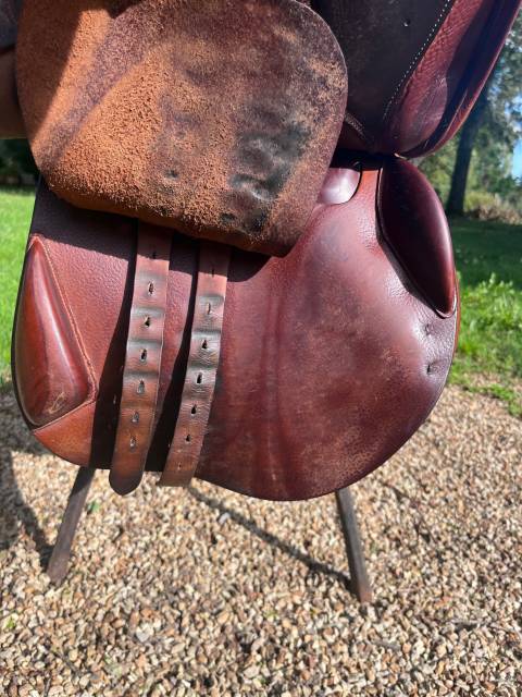 Selle Bruno Delgrange  Année : 2011  Modèle : Athéna