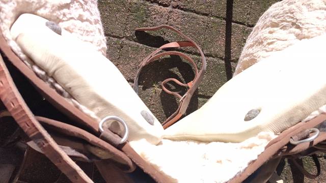 Selle barefoot Nevada 