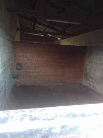 Pension pour anes poney chevaux a la ferme 