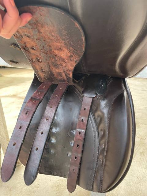 Selle Euroding JADE VS