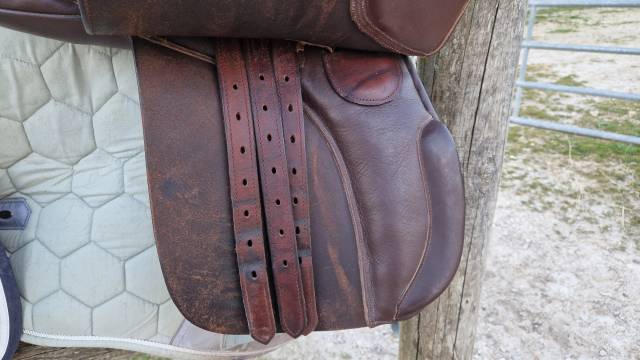 Selles Campale 17" 17,5"