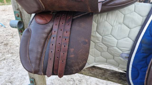 Selles Campale 17" 17,5"