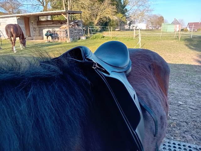 Selle dressage Thorowgood