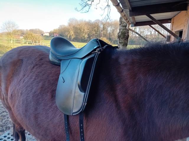 Selle dressage Thorowgood
