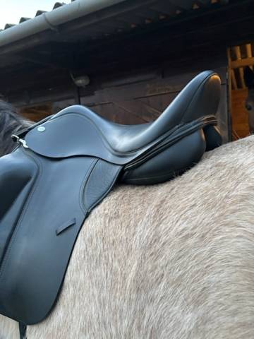 Selle dressage Thorowgood