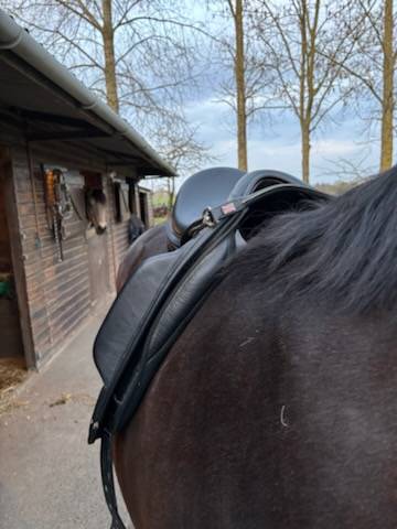 Selle dressage Thorowgood