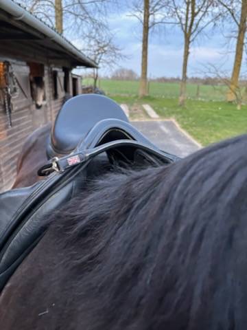 Selle dressage Thorowgood