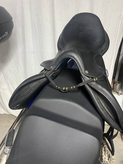 Selle voltaire dising