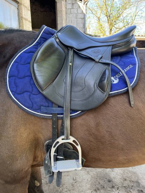 Selle Antares 
