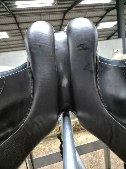 Selle Philippe fontaine stubben 