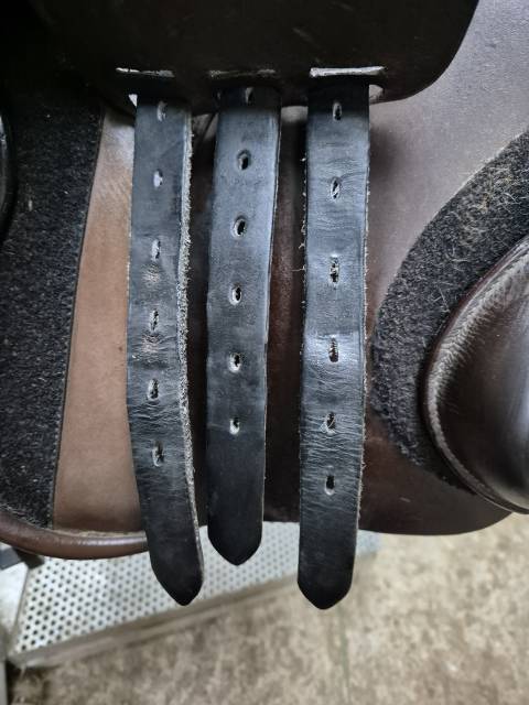 Selle Philippe fontaine stubben 