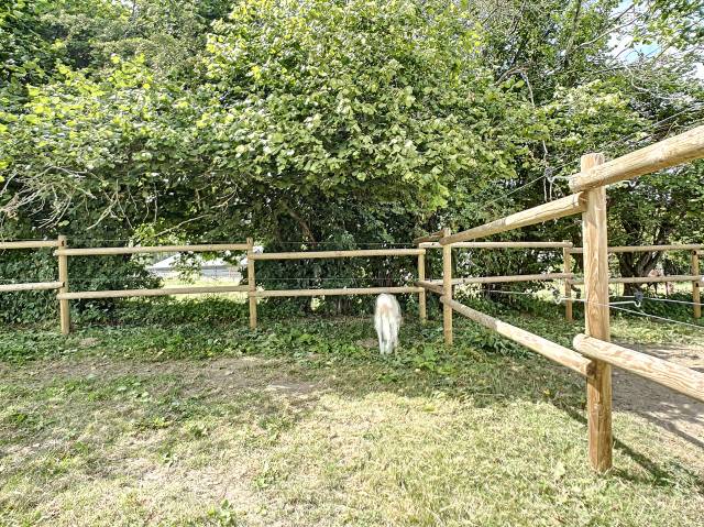 Un havre de Paix pour vos chevaux