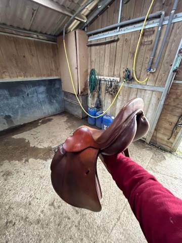 Selle forestier havane taille 17,5