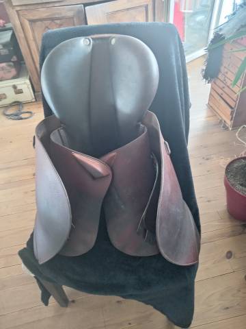 Selle Forestier 17,5"