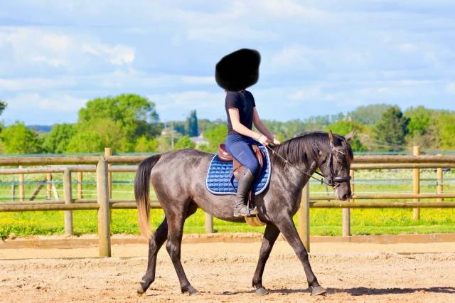 Selle Time Rider New time 17 pouces 