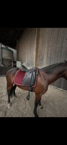 Selle de dressage Zaldi San Jorge Plana