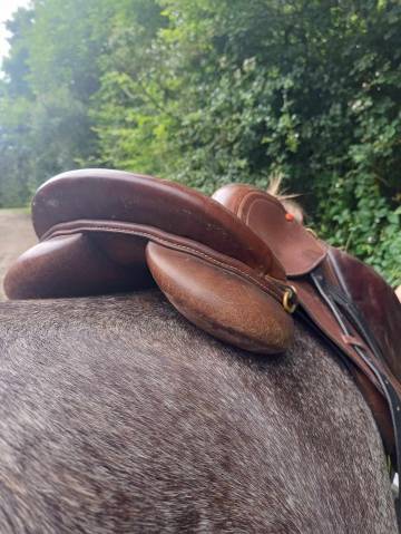 Selle Mixte 16.5 pouces Time rider