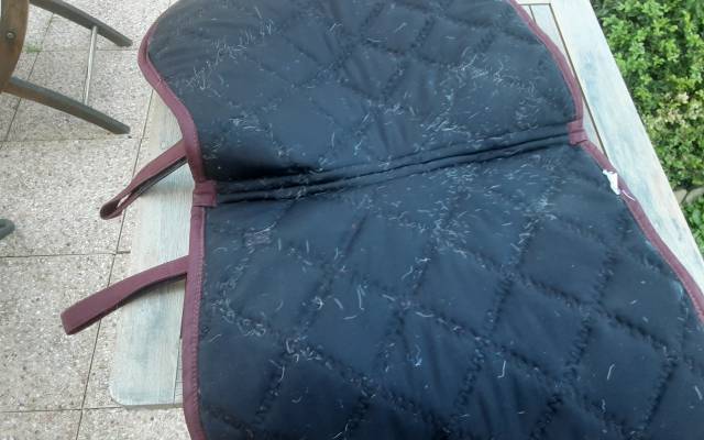Tapis bordeaux poney D