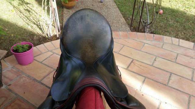 Selle de dressage Stubben Juventus 17 pouce