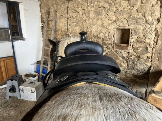 Selle wintec western 15 pouces 