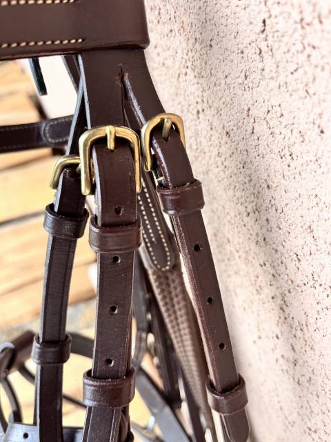 Filets poney / shetland 