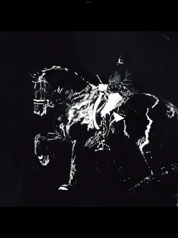 Tableau personnalisé, Horse Pilot , Cavalliera Toscana,