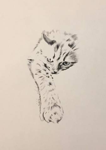 Tableau personnalisé, Horse Pilot , Cavalliera Toscana,