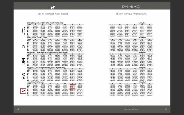 Bottes dressage De Niro neuves