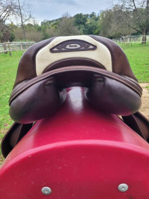 Selle prestige x meredith 