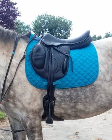 Selle Devoucoux Chiberta O 17.5