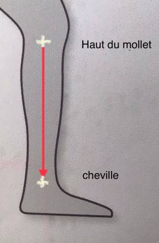 Calf Caddy (Porte-instruments maréchalerie)