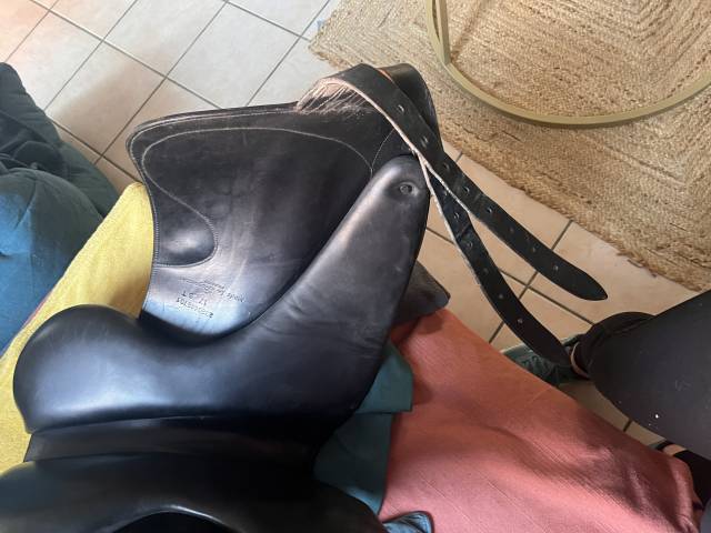 Selle de dressage 