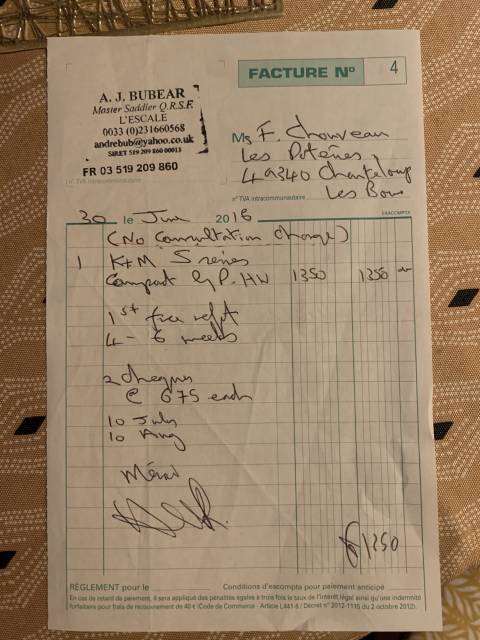 selle mixte KENT & MASTERS