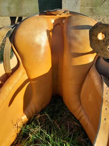 selle dressage espagnole Alta Escuela Ludomar 17"5