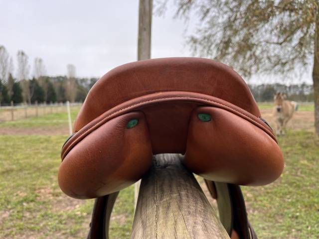 Selle Synergy Equipe 17’ cognac - état neuf