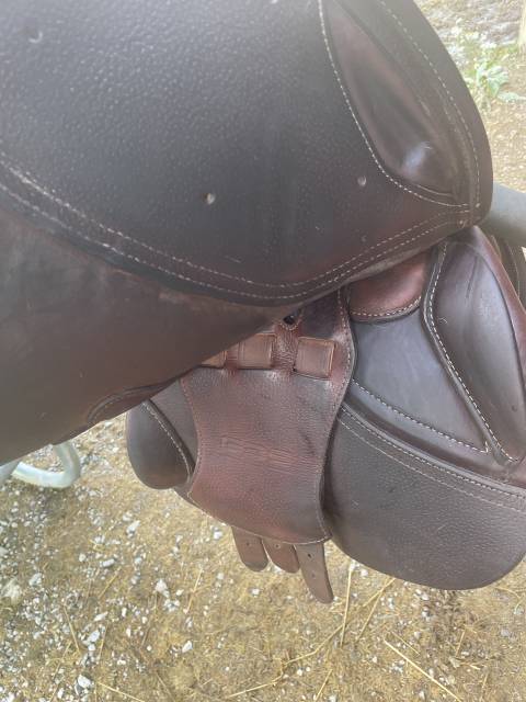 Selle semi semi creuse gbs 