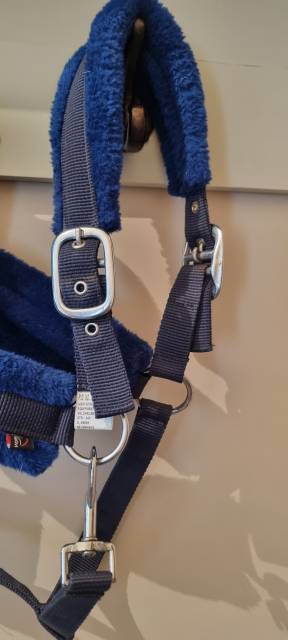 Licol anatomique avec moumoute bleu