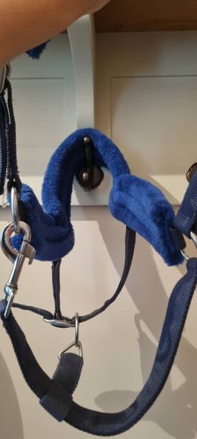 Licol anatomique avec moumoute bleu