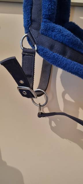 Licol anatomique avec moumoute bleu