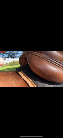 Selle &Eacute;ric Thomas hybrid 