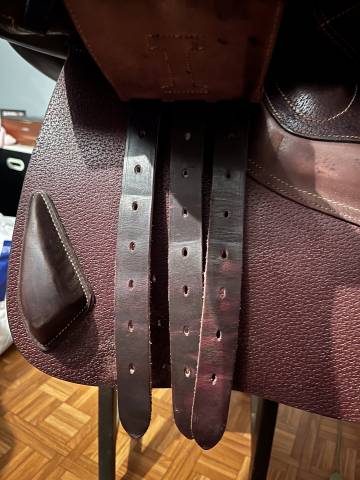 Selle Ikonic Jumping Evolution 17