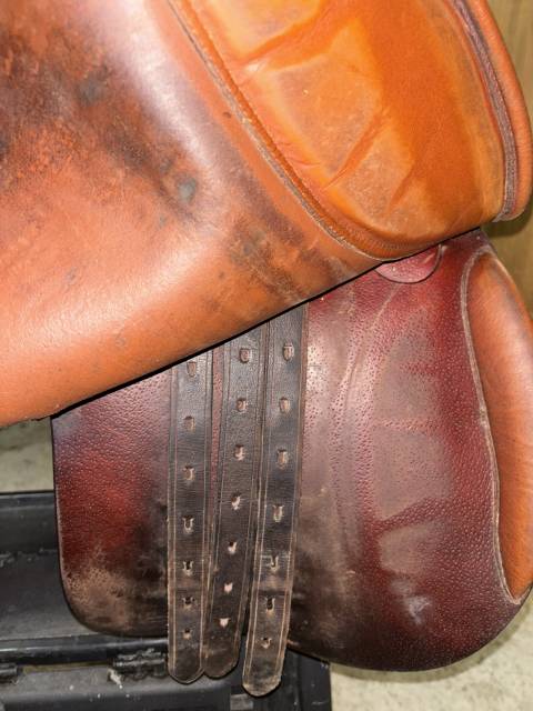 Selle Mixte Equip’Horse 