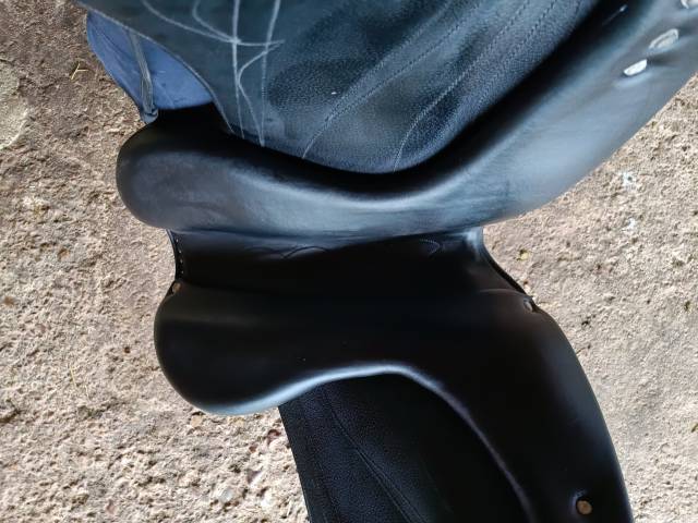 Selle de dressage Antares Cadence 17.5