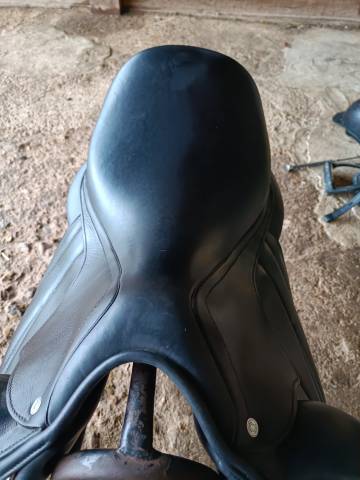 Selle de dressage Antares Cadence 17.5